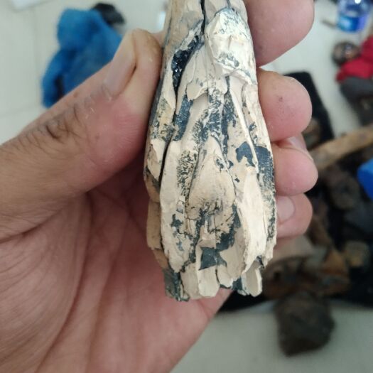 汤旺县水洗精品龙骨