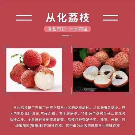 广州从化流溪桂味，桂花香，清甜，爽口，核小。