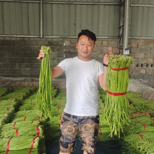 兰陵县豆角大量供应