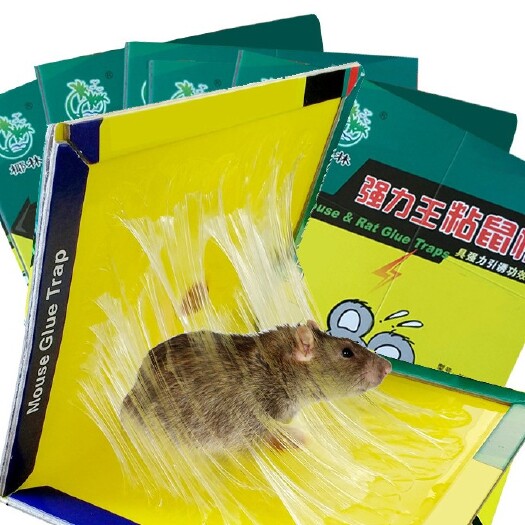 廉江市厂家批发老鼠贴 捕鼠器 老鼠胶 灭鼠纸  粘老鼠 抓老鼠
