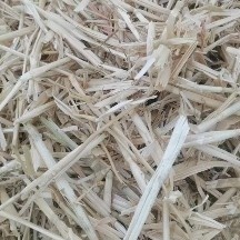 枣庄一次成型大方包，草干，白亮