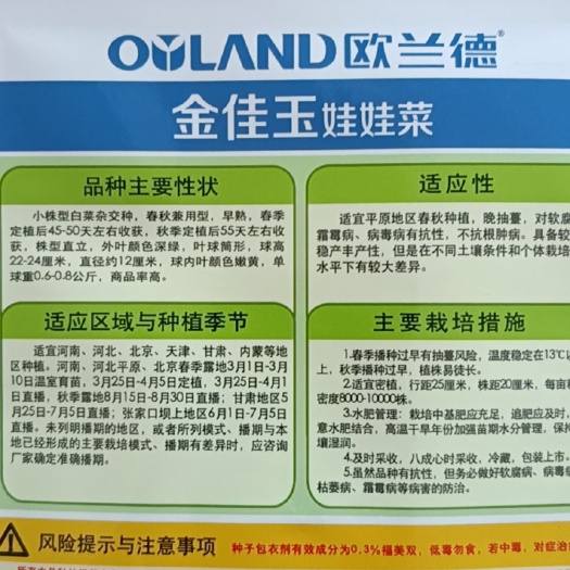 郑州娃娃菜种子
