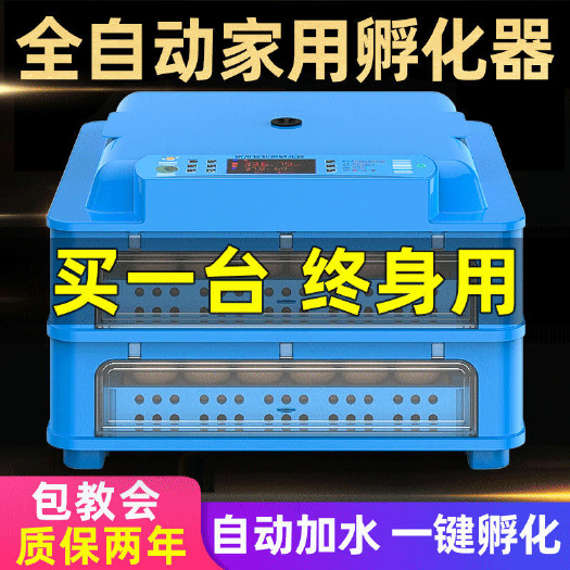 杭州孵化器全自动孵化机小鸡小型孵化机