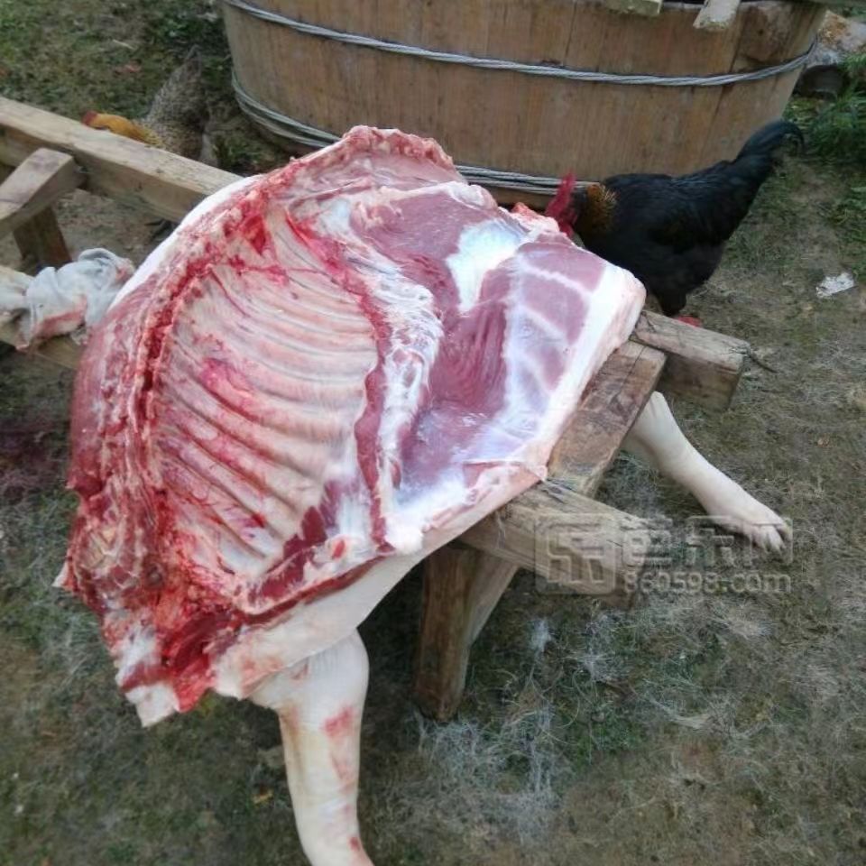 彝良县云南农村散养山猪肉  黑猪肉  土猪肉六分体一分两半整猪发货
