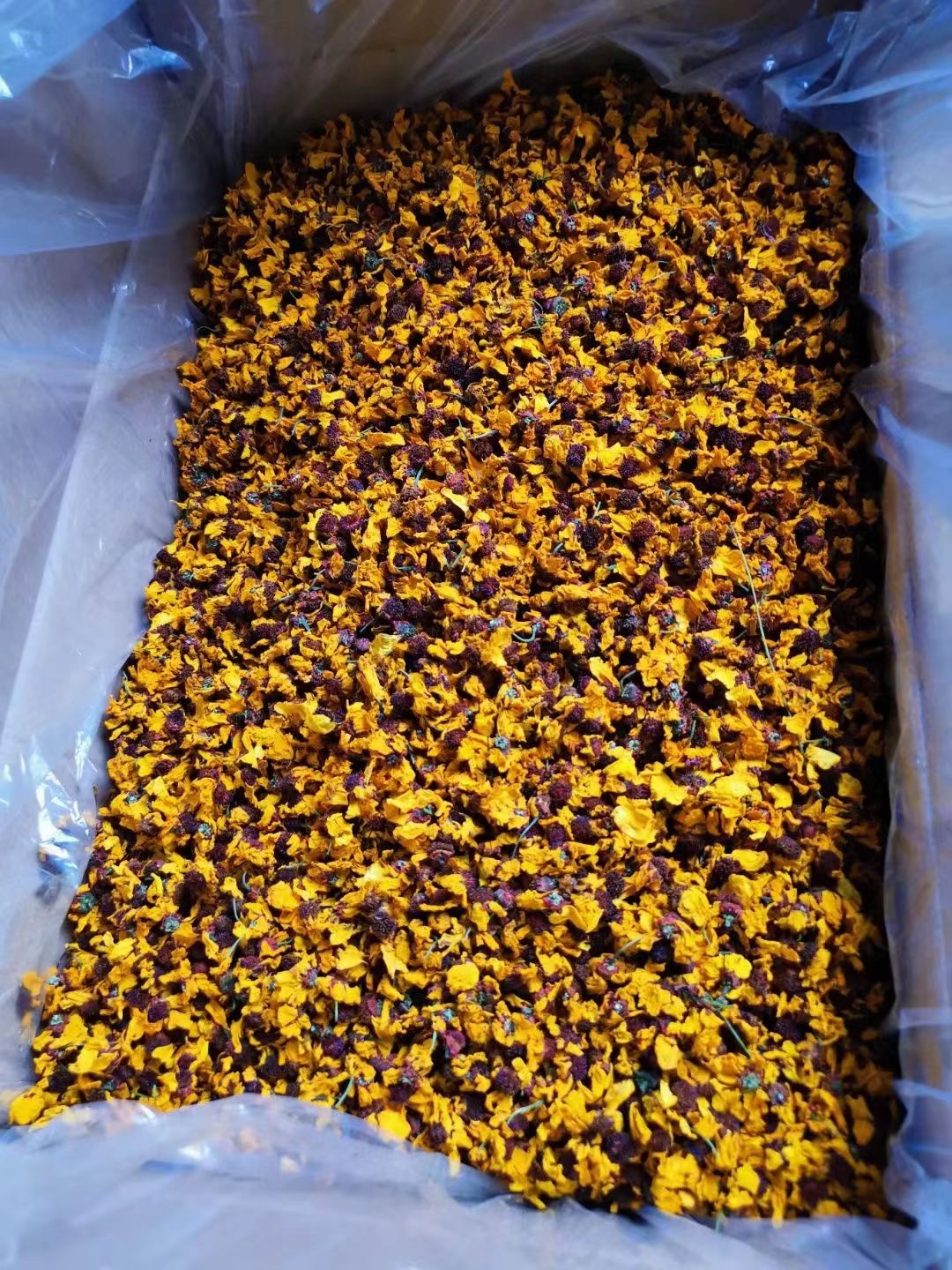 2023頭茬大花雪菊 昆侖山高海拔天然 80g包郵起批拿樣