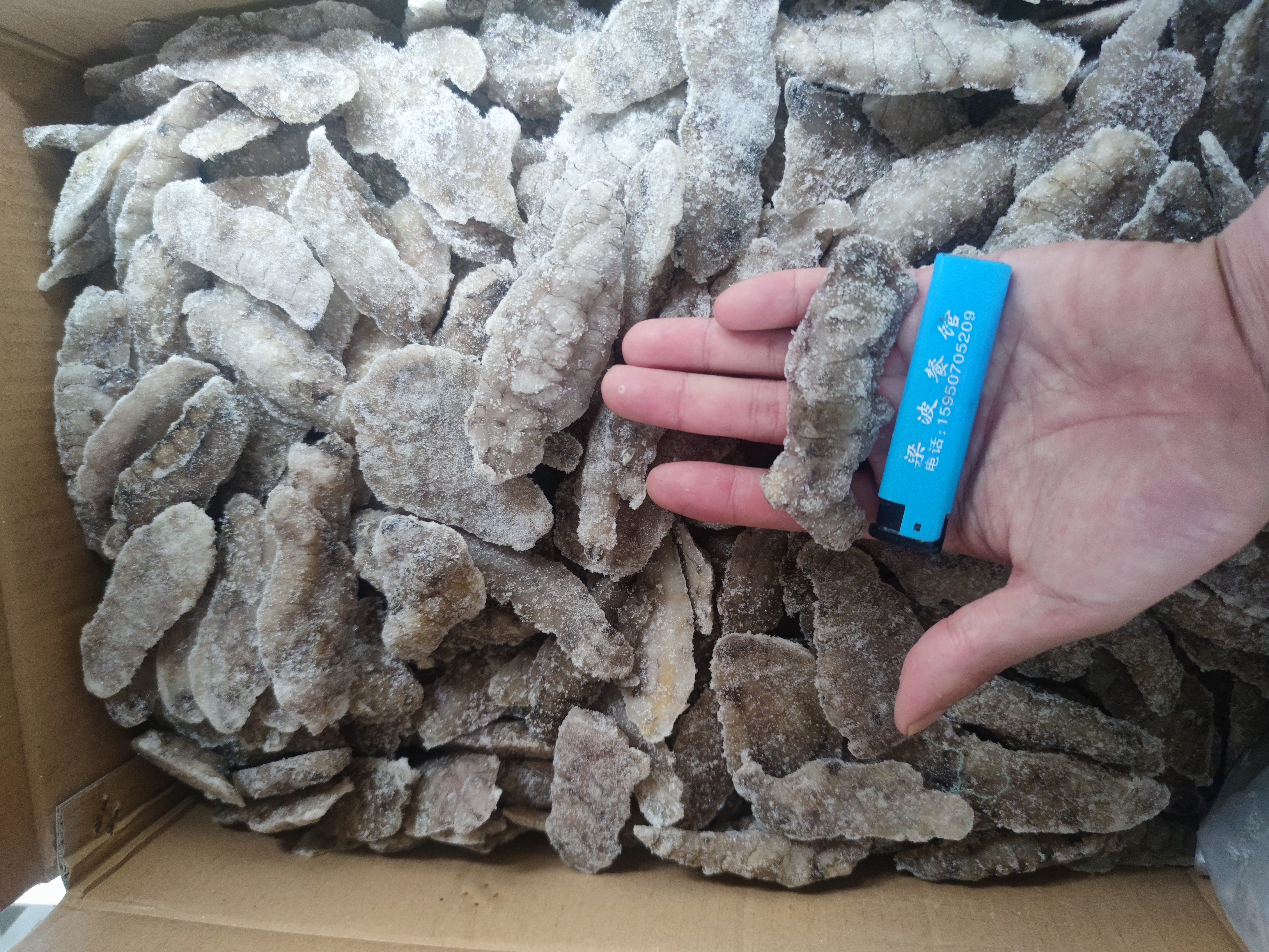 连云港单冻，纯皮皮虾肉10斤一整箱