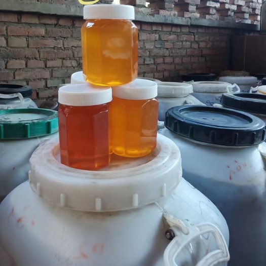 土蜂蜜 新疆哈密特产沙枣纯蜜 营养高质量保证包邮报损全国包邮
