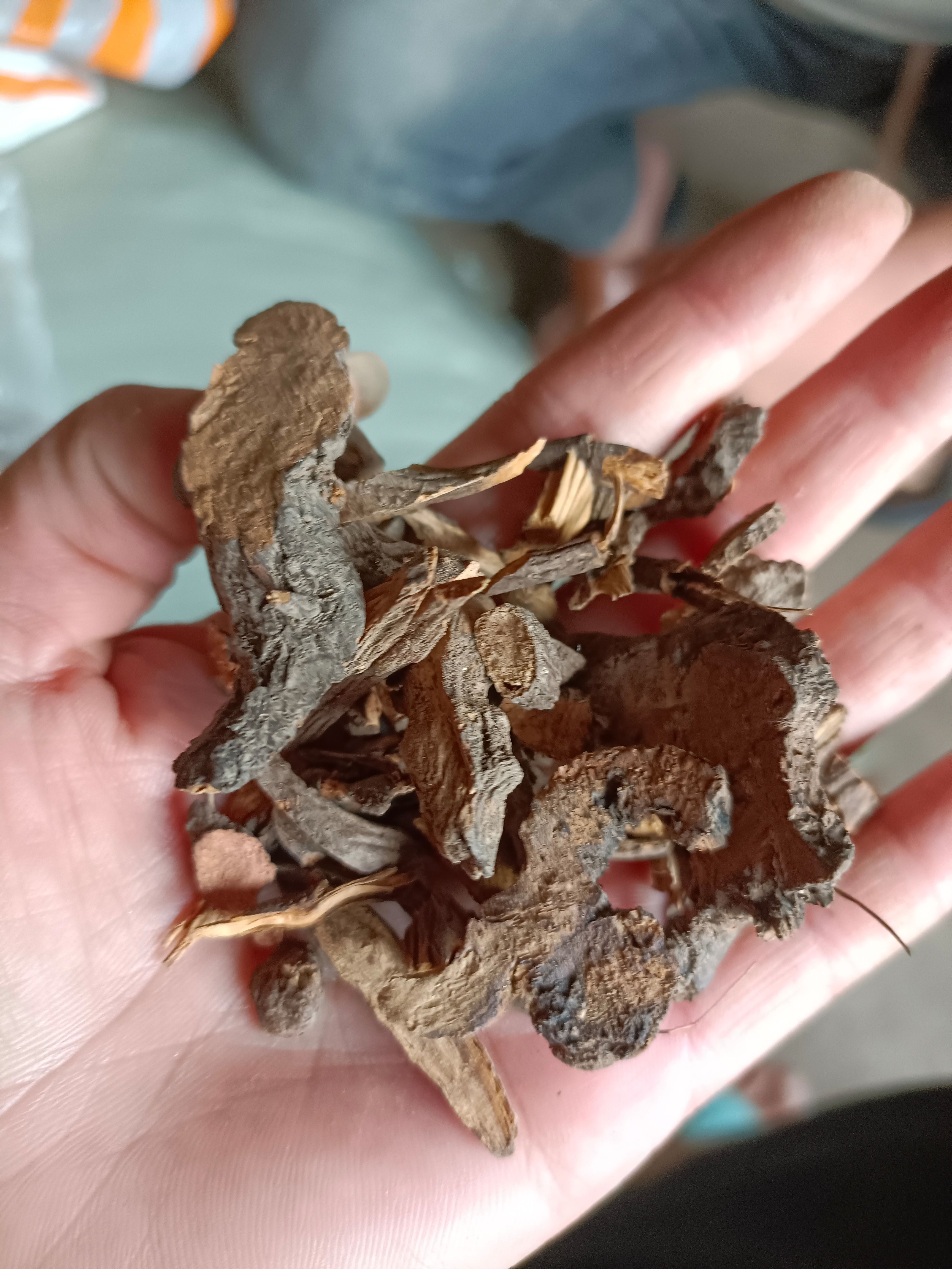 南召县地榆一一地榆片批发一手货源