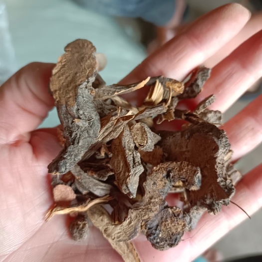 地榆一一地榆片批发一手货源