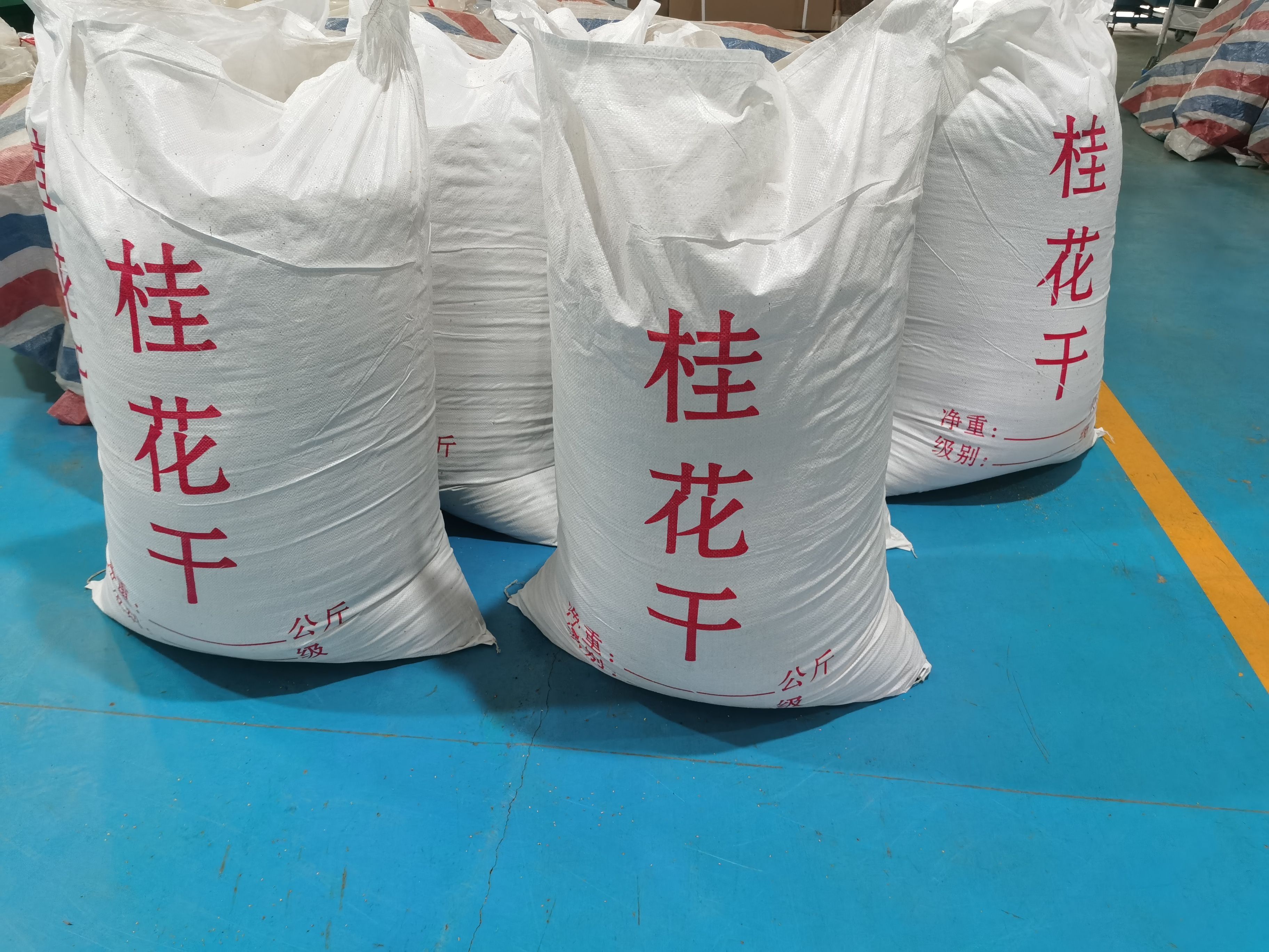 桂林桂花瓣 桂林干 干桂花 厂家直销 年产50吨