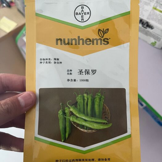 寿光市圣保罗辣椒种子