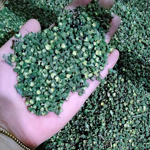 重庆市九叶青花椒