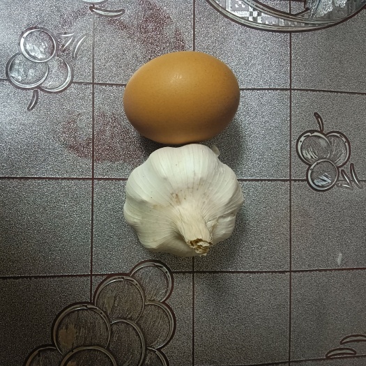 紫皮大蒜