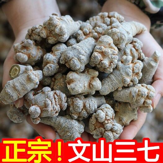 全干文三七25头28头38头 批发零售 500g包邮免费打粉