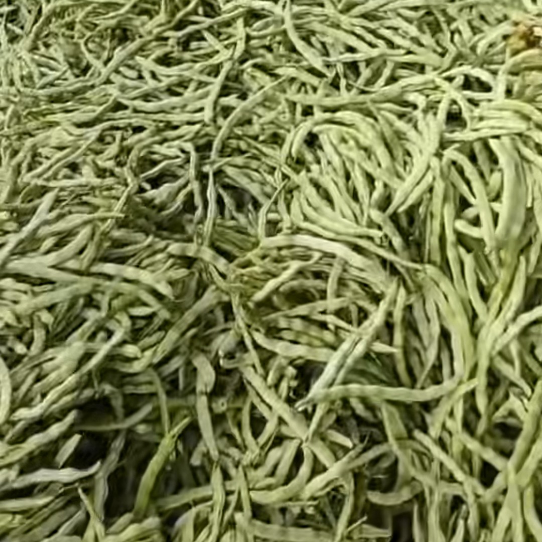 白不老豆角