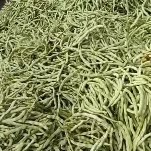 绥中县白不老豆角