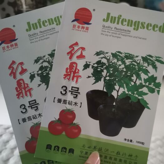 寿光市番茄砧木种子  红鼎2号  红鼎3号番茄砧木专用杂交品种