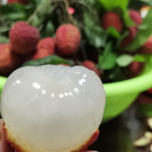 广州仙进奉荔枝