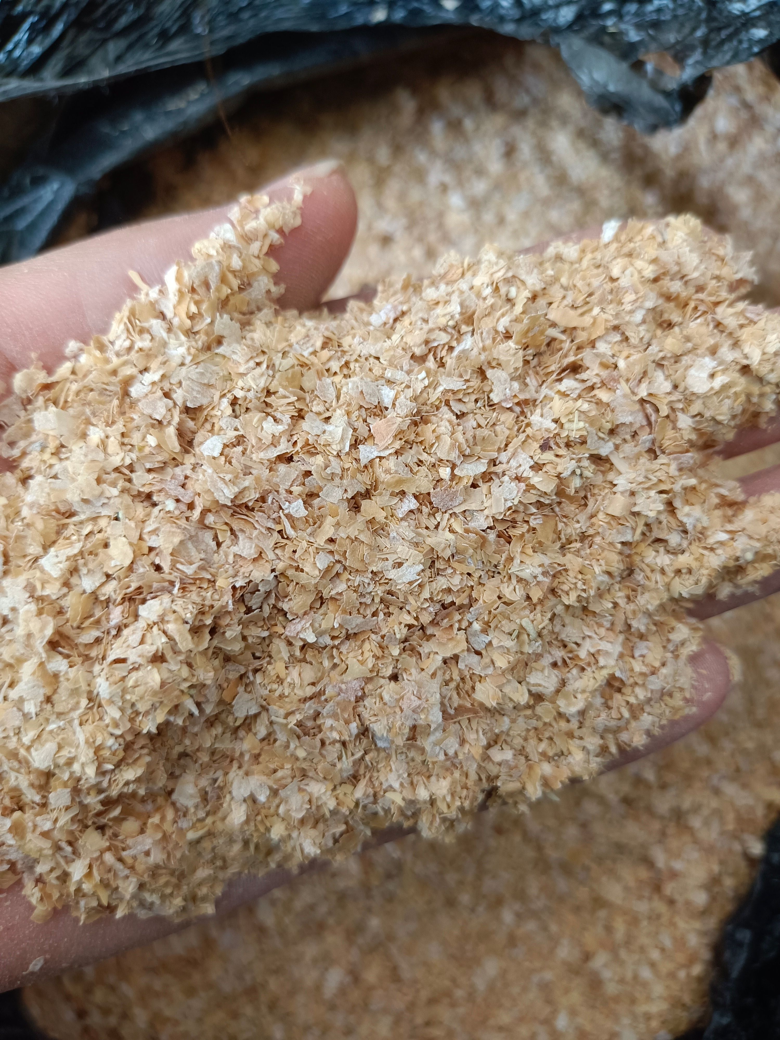 石家庄麦麸  质量好，价格低