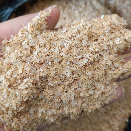 石家庄麦麸  质量好，价格低