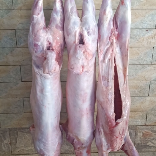 北京羊肉类 ，烤全羊，烧烤专用小羔羊，新鲜现宰。。