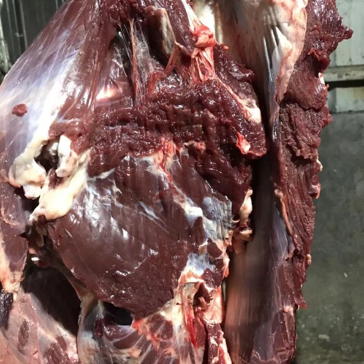 隆回县（实力供货）（热销）（推荐）新鲜现宰热鲜黄牛肉