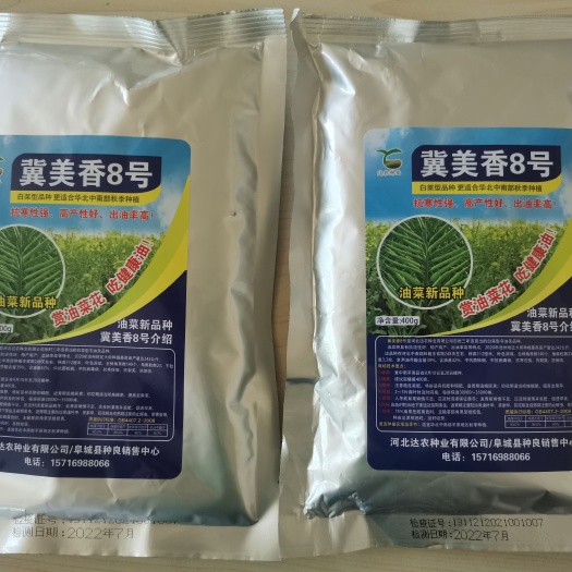 油菜种子  冀美香8号 优质油菜新品种 抗寒耐旱