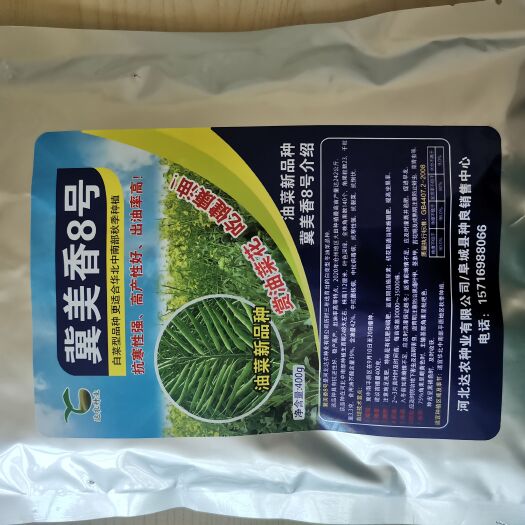 阜城县油菜种子 冀美香8号 优质高产油菜新品种 抗旱耐寒高产