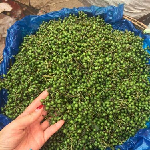 黎平县也叫山胡椒。木姜子。只供应500斤以下的。，现摘现卖。