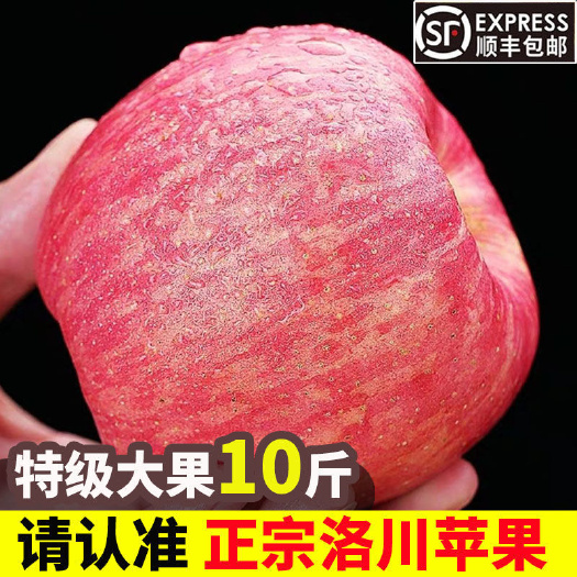 太原红富士苹果  【亏本冲量】陕西洛川苹果红富士正脆甜冰糖苹果