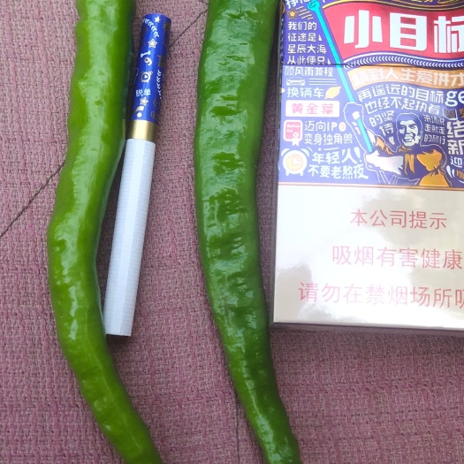 行唐县杭椒