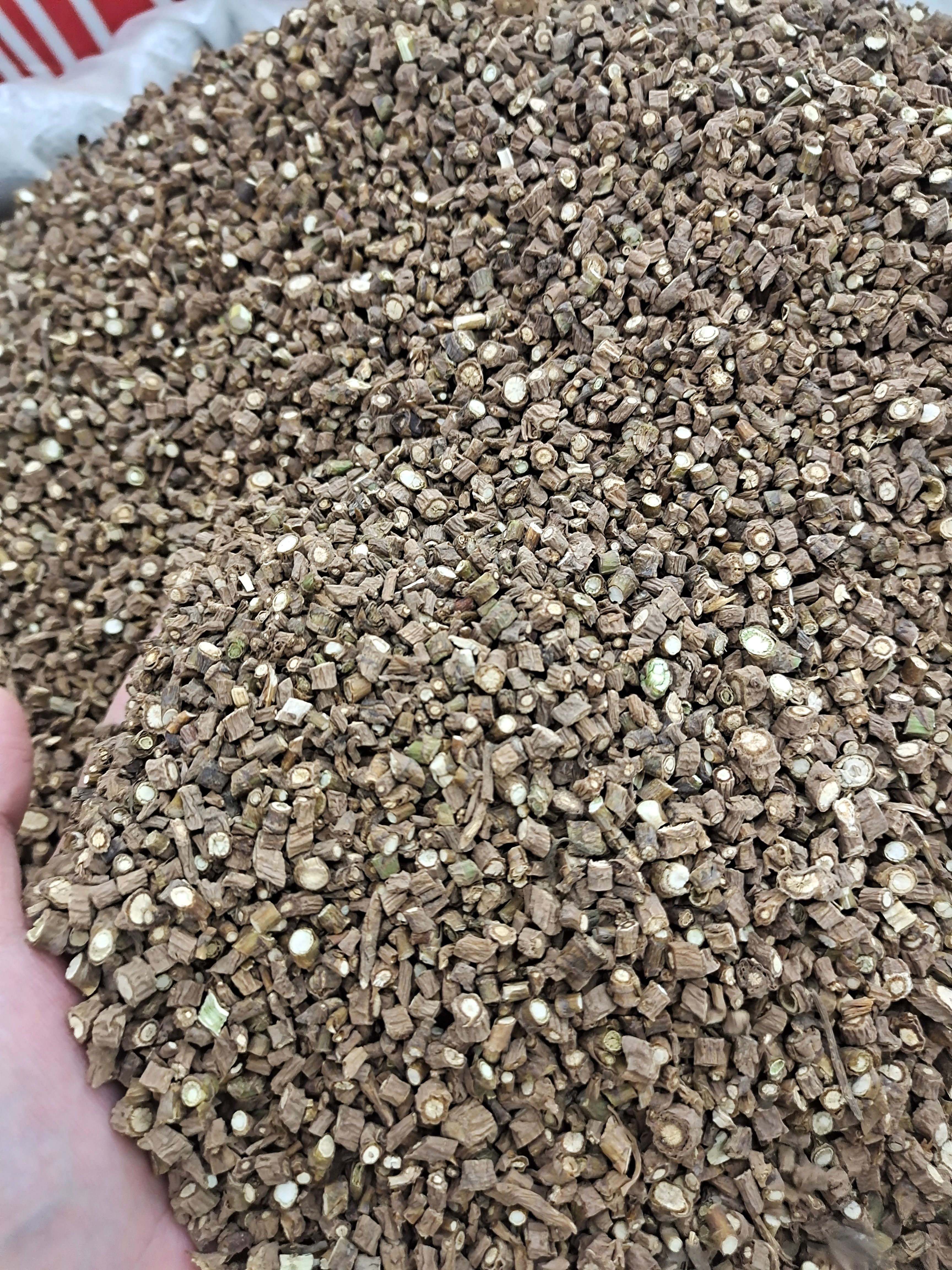 柴胡 藏柴胡 甘肃柴胡 北柴胡 规格齐全 正品保证 地道中药