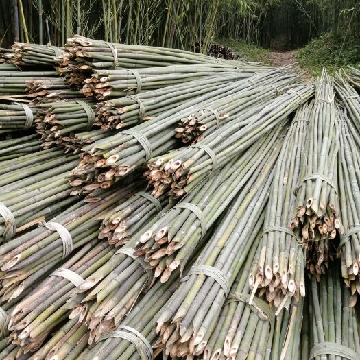 广安白夹竹，绿色环保，可用于蔬菜水果大棚，撑杆等，用途广泛。