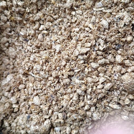 中山市蘑菇废料  供应针织菇渣，有机肥好原料！