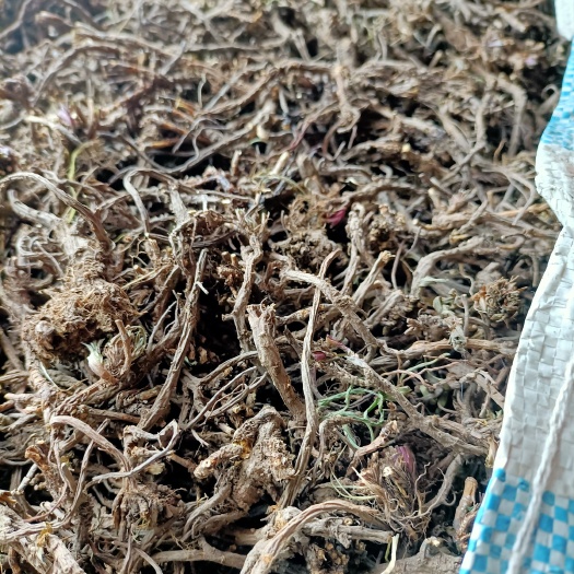 长沙纯剪头柴胡，