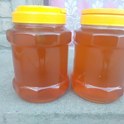新源县新疆伊犁黑蜂山花蜜