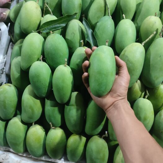 华坪县新鲜水果