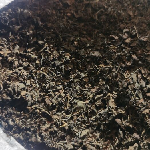 青岛马尾藻粗粉