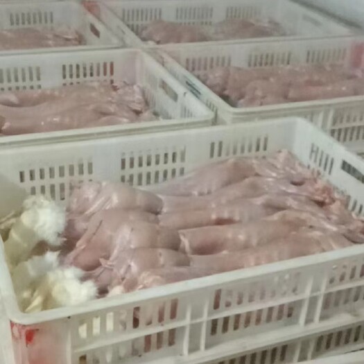 内黄县兔肉