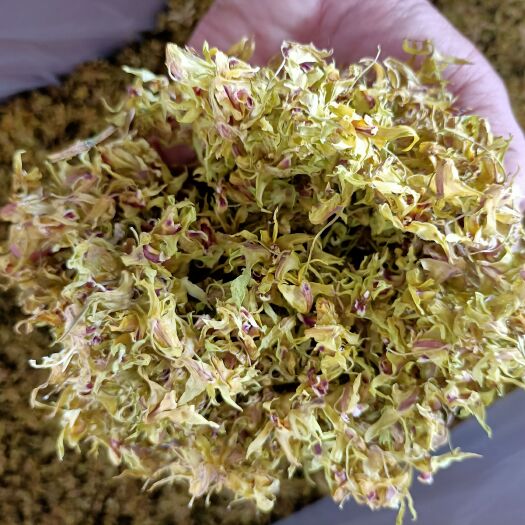 芒市云南高原特色石斛铁皮石斛干花