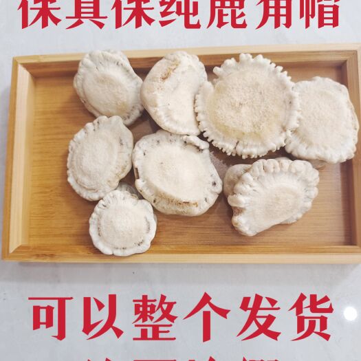 长春鹿角帽粉梅花鹿鹿角帽免费打粉