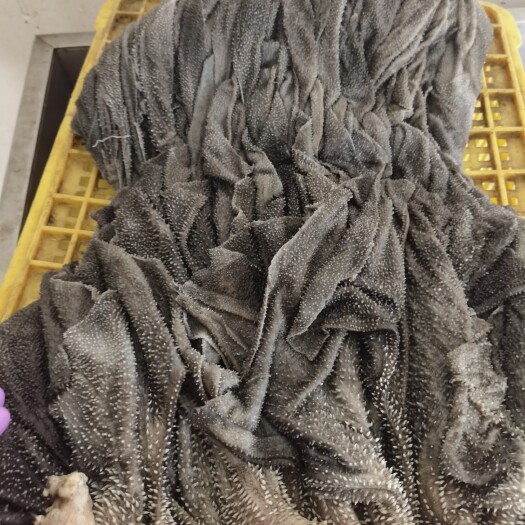 紫金县新鲜牛百叶