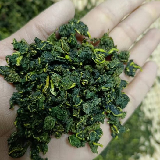 巨野县桑叶茶