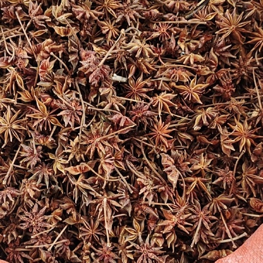 郴州野八角(莾草)，只用于醉鱼，药用。不可食用！