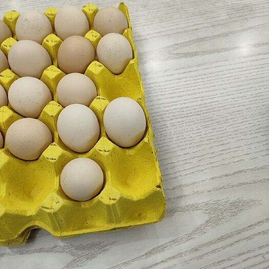 贵阳鲜鸡蛋