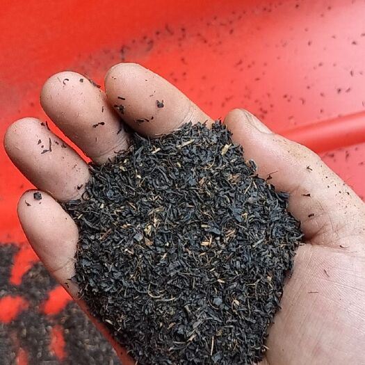松阳县大量茶沫茶头批发