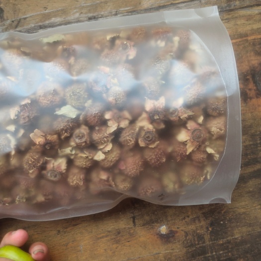 麻江县刺梨新货上市，新货上市