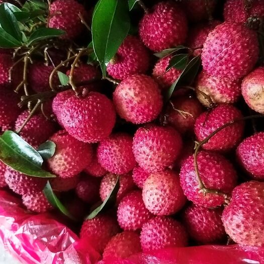 平南县桂味