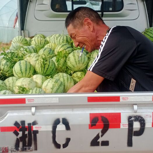 西瓜8424头茬。和次品西瓜价格便宜。欢迎在会农网。朋友帮忙