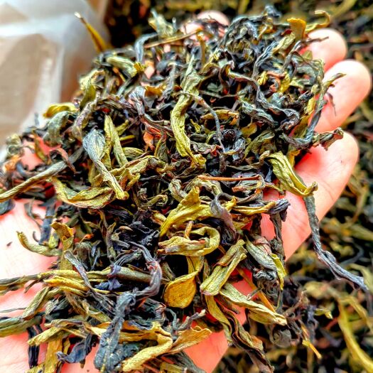 惠来县土山茶潮汕高山茶叶惠来土山茶诏安八仙茶潮汕土山茶叶1斤土山茶
